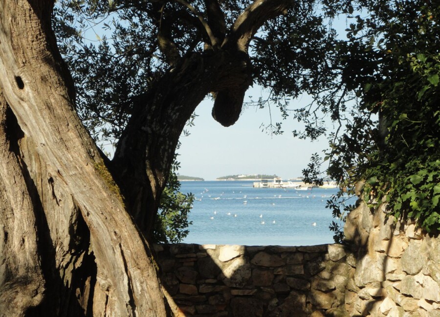 Mon Paradis - Mini Camp - Rovinj