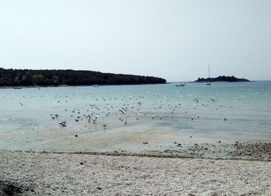 Mon Paradis - Mini Camp - Rovinj