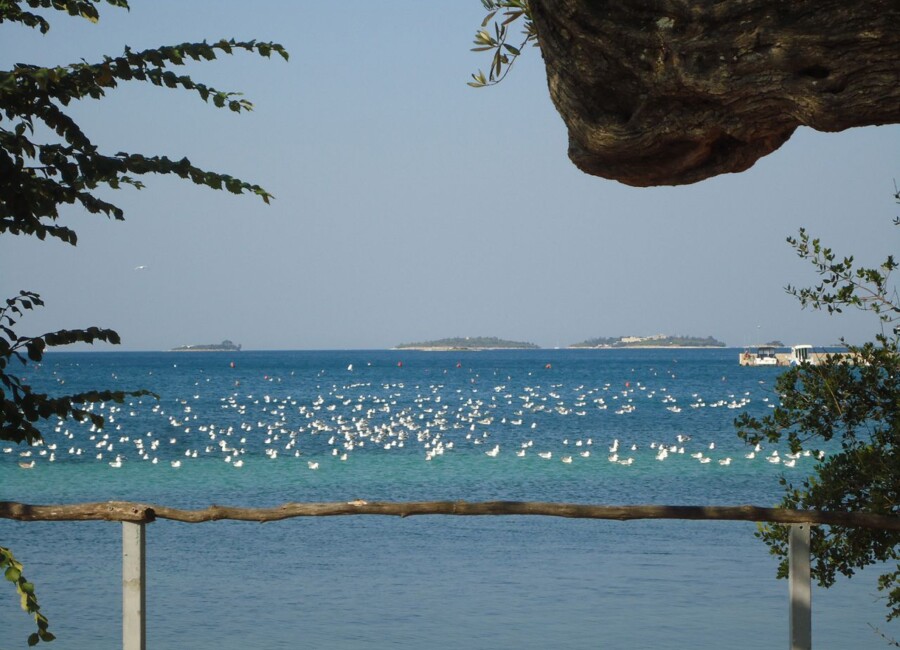Mon Paradis - Mini Camp - Rovinj